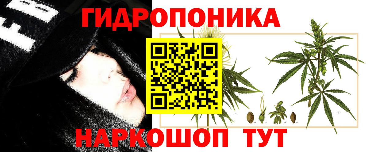 Бошки марихуана марихуана  Бошки марихуана индика  Вход с VPN  Копейск  Канабис Bruce Banner 